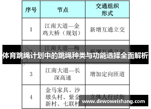 体育跳绳计划中的跳绳种类与功能选择全面解析