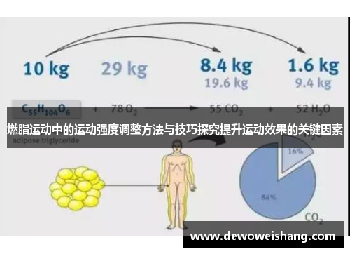 燃脂运动中的运动强度调整方法与技巧探究提升运动效果的关键因素