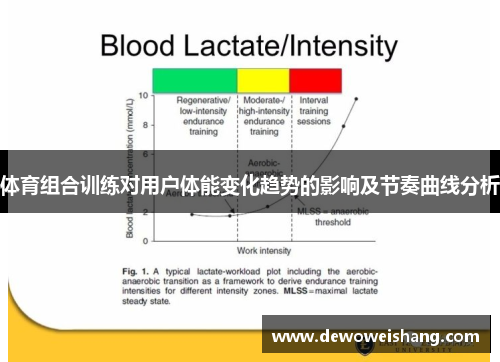 体育组合训练对用户体能变化趋势的影响及节奏曲线分析
